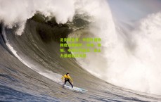 足彩网首页：中超外援依赖度深度解析，海港、蓉城、申花位列前五，本土力量崛起成关键