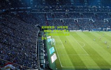 足彩网首页：30号传奇，斯蒂芬·库里独占鳌头，一个号码因他而被重新定义