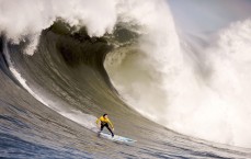 中国足彩网：广州队保级还看熟面孔？一人虽是新援却已成驱动核心