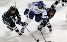 中国足彩网：前南名帅展现忠诚与担当，降薪续约伊拉克国家队，率队历史性战胜伊朗赢广泛赞誉